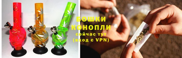 стафф Новозыбков