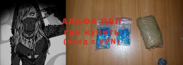 ПСИЛОЦИБИНОВЫЕ ГРИБЫ Новокубанск
