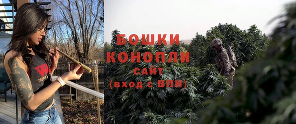 ПСИЛОЦИБИНОВЫЕ ГРИБЫ Новокубанск