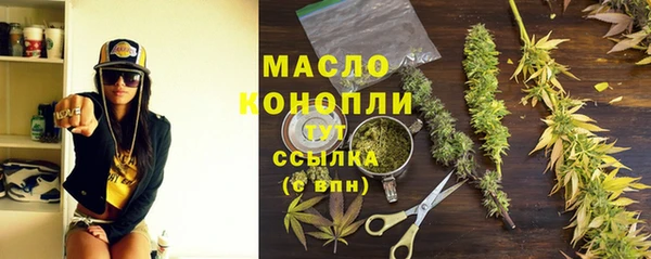 стафф Новозыбков