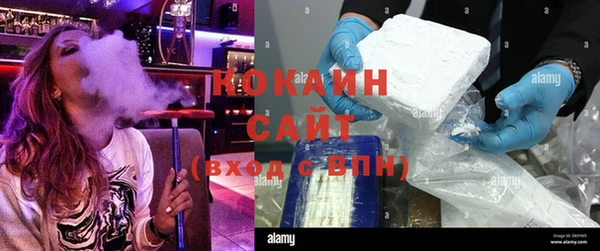 стафф Новозыбков