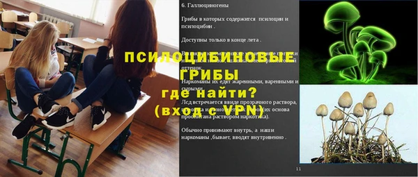 стафф Новозыбков