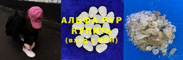стафф Новозыбков