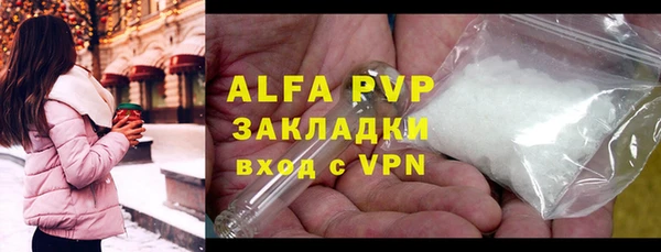 индика Болохово
