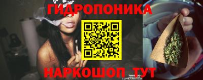 шишки Волгодонск