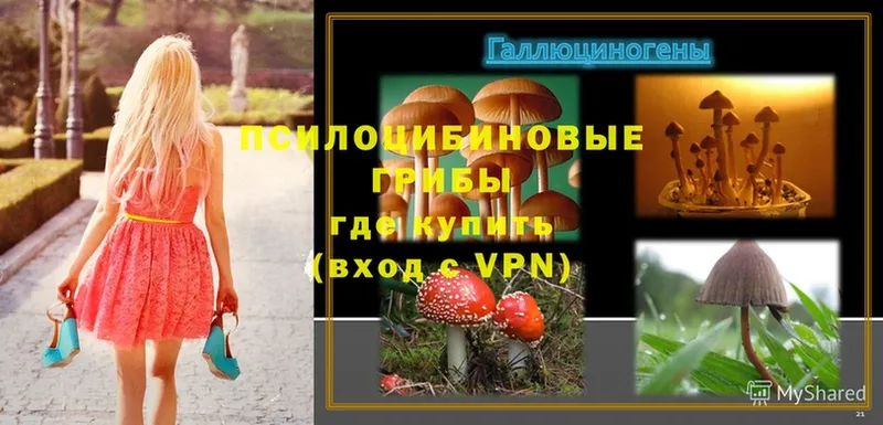 ОМГ ОМГ tor  Чистополь  Галлюциногенные грибы Magic Shrooms  наркота 