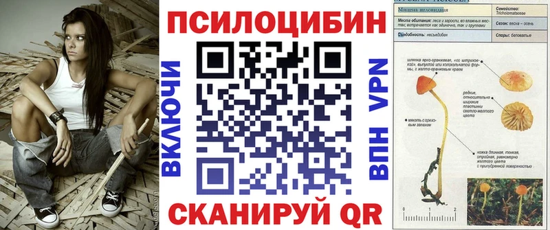 Псилоцибиновые грибы мицелий  Чистополь 